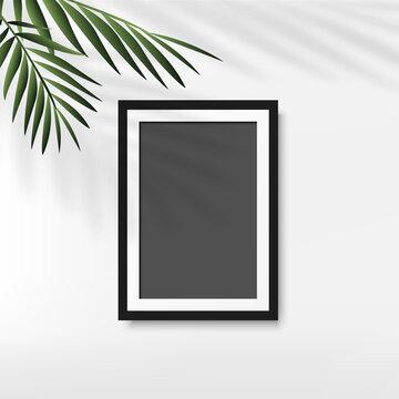 Black photo frame with palm leaves in white background. Vector