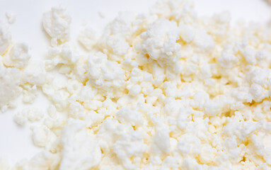 Fresh milk curd as background.