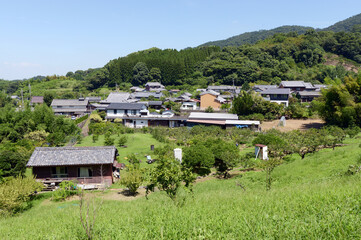 山辺の道　奈良県桜井市　大和青垣国定公園