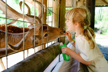 Adorable cute preschool girl feeding little wild deer in a wild animal forest park. Happy child petting animals on summer day. Excited and happy girl on family weekend, children activity in summer.