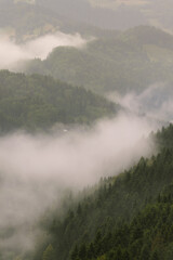 Fototapeta na wymiar Mountain hills in fog, Beskid Sadecki, Piwniczna, Poland in the area of Poprad Landscape Park