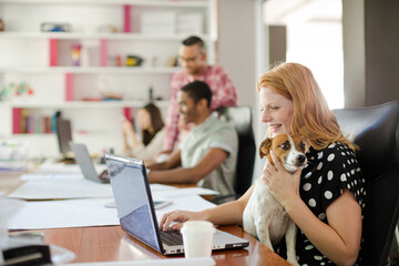 Dog sitting on woman lap in office