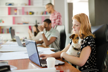 Dog sitting on woman lap in office