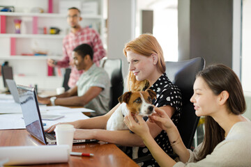 Woman petting dog in office
