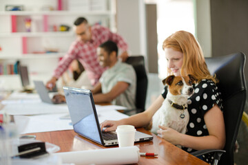 Dog sitting on woman lap in office