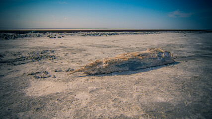 Dried salt lake