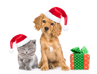 Cute kitten and  Spaniel puppy wearing red christmas hats sit with gift box and look at camera. isolated on white background