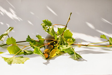 White wine bottle and grapes