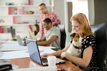 Dog sitting on woman lap in office