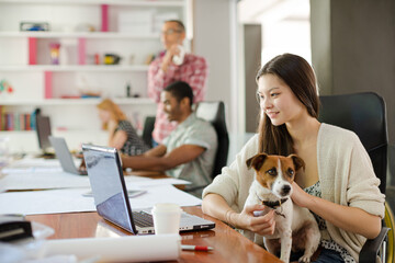 Dog sitting on woman lap in office