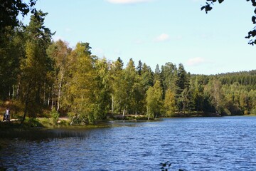 lake in the park