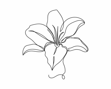 Continuous One Line Drawing Of Beautiful Lilly Flower Icon In Silhouette On A White Background. Linear Stylized.