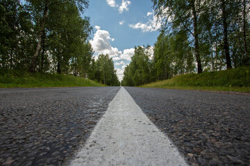 road in the woods