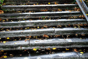 autumnal painted leaves on stairs in sun