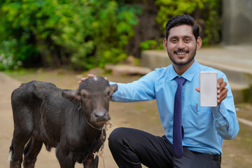 Young indian animal husbandry officer or banker with calf and showing smartphone.