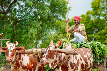 Rural scene : Young indian farmer going to work his farm on bullock cart © Niks Ads