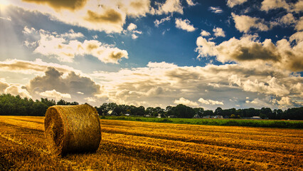 It is harvest time in Holland