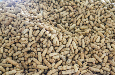 Raw Peanuts