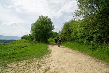 Obraz premium Cyclist in the woods in the nature during summer or autumn. Slovakia
