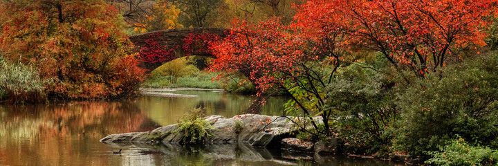 view of autumn landscape in Central Park.