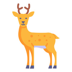 Deer 

