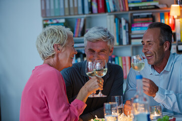 Older friends drinking wine