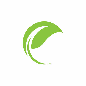 Leaf icon Vector Illustration design Logo template