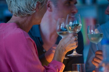 Older friends drinking wine