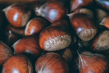 背景におすすめ！渋めな雰囲気の栗