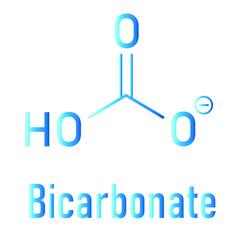 Bicarbonate anion skeletal formula, chemical structure. Common salts include sodium bicarbonate (baking soda) and ammonium bicarbonate.