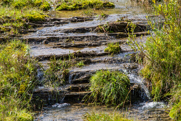 mountain stream in the countryside on a background of mountains.