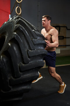 Handsome Muscled Young Man With A Naked Torso In The Gym Lifts And Pushes A Huge Car Tire Dark Key Photo