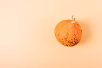 Top view small pumpkin on an orange background