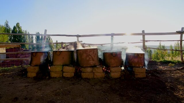 Boiled wheat which is used in bulgur production spreaded  in Tukey
