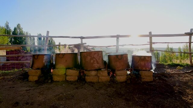 Boiled wheat which is used in bulgur production spreaded  in Tukey