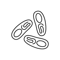 Bacteria icon