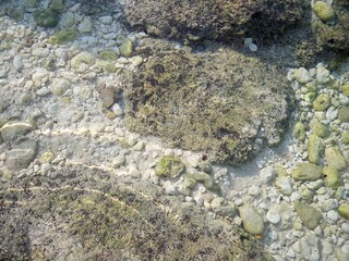 Fond transparent dans les mers de Bali