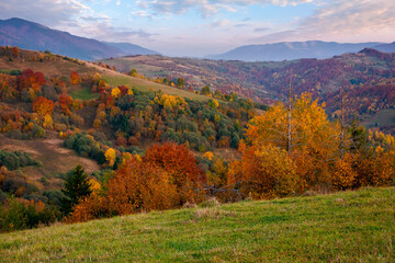 mountainous countryside at dusk. beautiful rural landscape with rolling hills and meadows. forest in colorful foliage. dramatic sky with glowing clouds