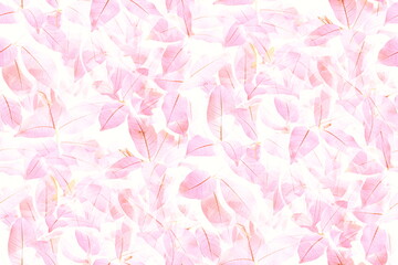 Fototapeta na wymiar Soft bright pink leaves pattern for romance texture and background