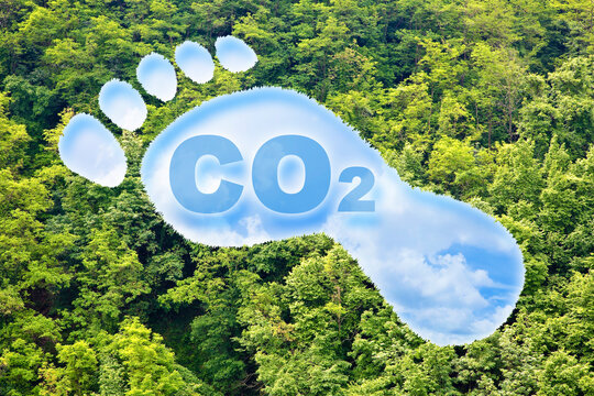 Carbon footprint concept with CO2 text and footprint shape against woodland - CO2 Neutral and ecological concept with foot symbol and cloudy sky