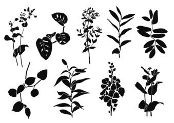 Set of plant illustrations. Vector floral collection isolated on white background. 