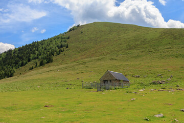 Fototapeta na wymiar Modern cabin for keeping cattle with green mountain