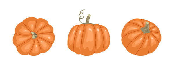 Pumpkin set. Top, front and side views. Vector illustration in hand-drawn style.