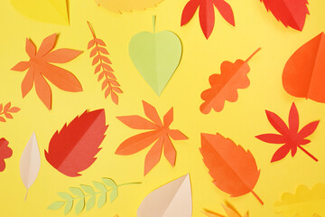 Fototapeta na wymiar composition of various colorful leaves on yellow background, textured wall