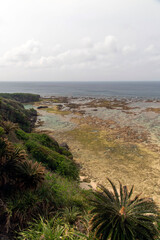 鹿児島県　沖永良部島のウミガメビューポイント