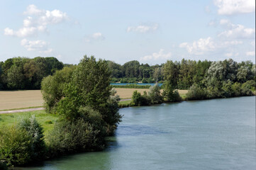 Fototapeta na wymiar Seine river bank in the Bassée National nature reserve. Ile -de-France region