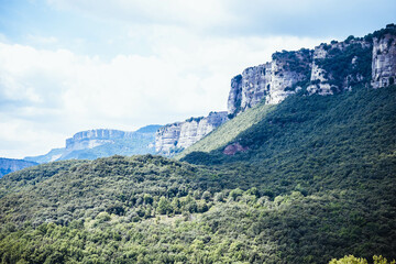 Fototapeta na wymiar Landscape of a cliff near the forest.