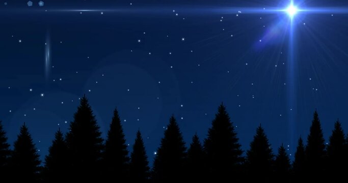 Animation of white stars shining in night sky and forest