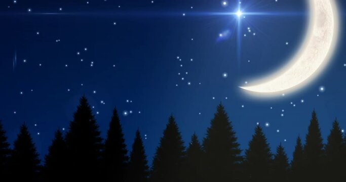 Animation of moon and shining stars over forest