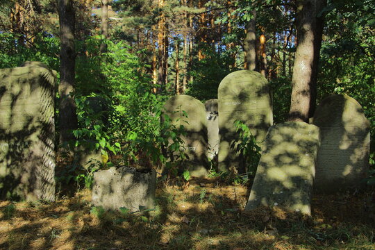 kirkut macewa Polska Ulan&oacute;w